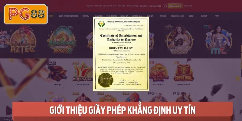 Giấy phép được cơ quan quốc tế cấp khẳng định sự an toàn